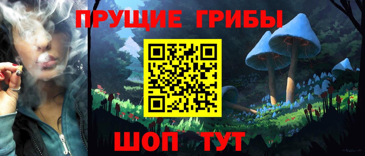 закладки  Галлюциногенные грибы ЛСД  Вход с VPN  Тимашёвск  Псилоцибиновые грибы GOLDEN TEACHER 